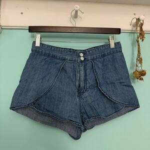 Urban Outfitters BDG chambray shorts